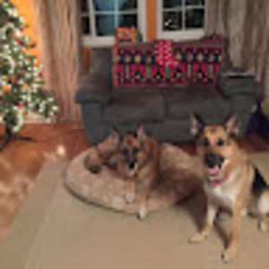 Meet your Posher, Kat